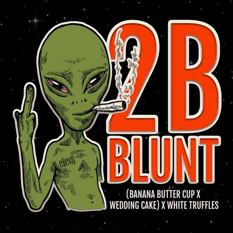 2 B Blunt