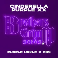 Brother's Grimm Cinderella Purple XX