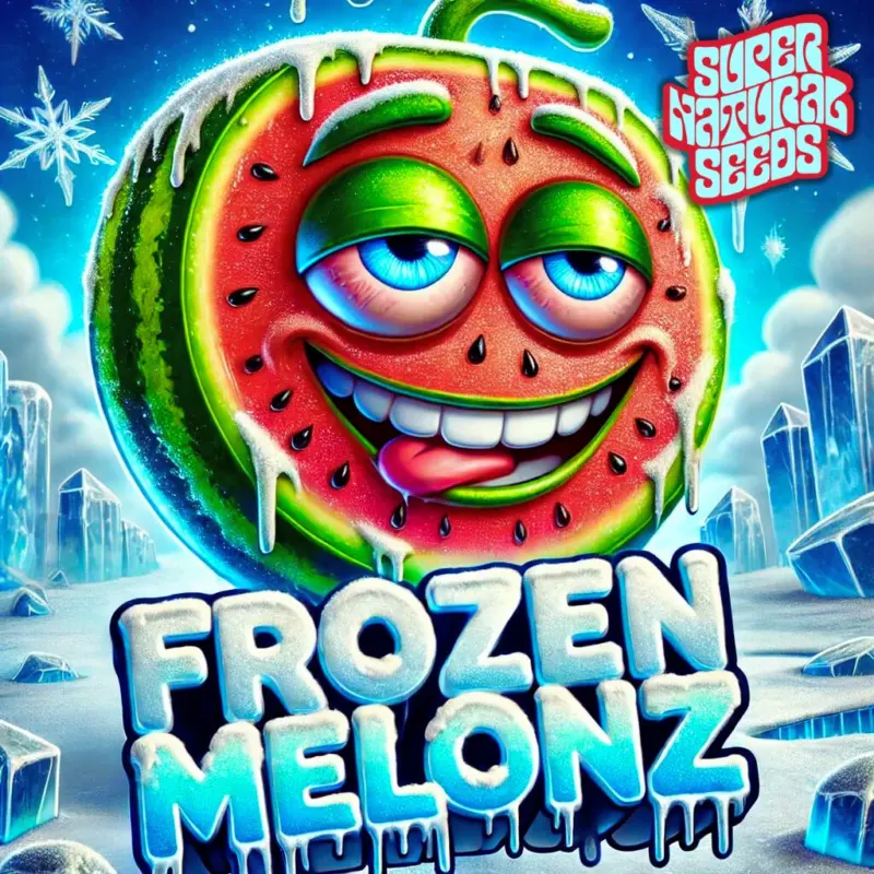 Frozen Melonz by Super Natural Seeds