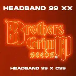 Brother's Grimm Headband 99