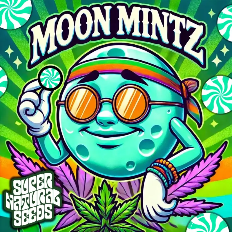 Moon Mintz by Super Natural Seeds