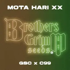Brother's Grimm Mota Hari