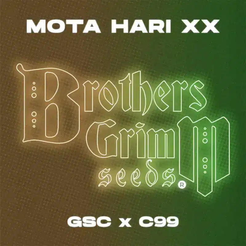 Brother's Grimm Mota Hari
