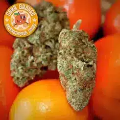 Super Natural Seeds Sour Orange