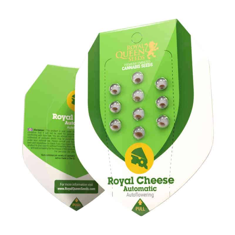 Royal Queen Seeds Royal Cheese Auto
