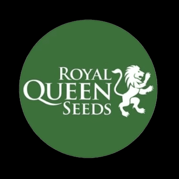 Royal Queen Seeds - Autoflowering