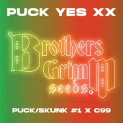 Brother's Grimm Puck-Yes-Strain