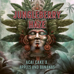 Elev8 Seeds Jungleberry Haze