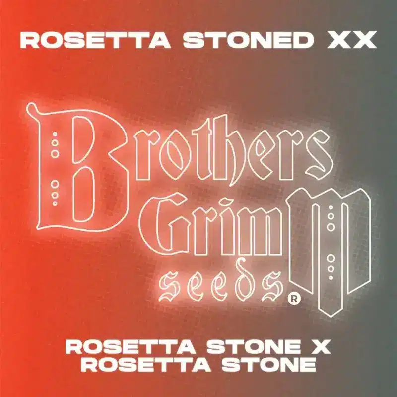 Brother's Grimm Rosetta Stoned XX