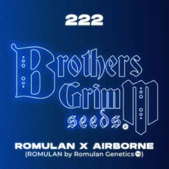 Brother's Grimm 222