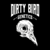 A stylized bird skull with the words "Dirty Bird Genetics" above it on a black background.