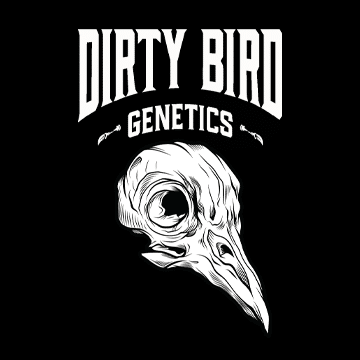 Breeder of the Week: Dirty Bird Genetics