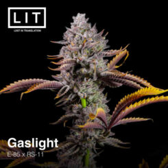 LIT Farms Gaslight