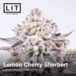 LIT Farms Lemon Cherry Sherbert