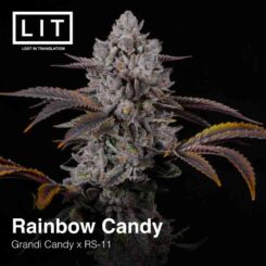 LIT Farms Rainbow Candy