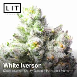 LIT Farms White Iverson