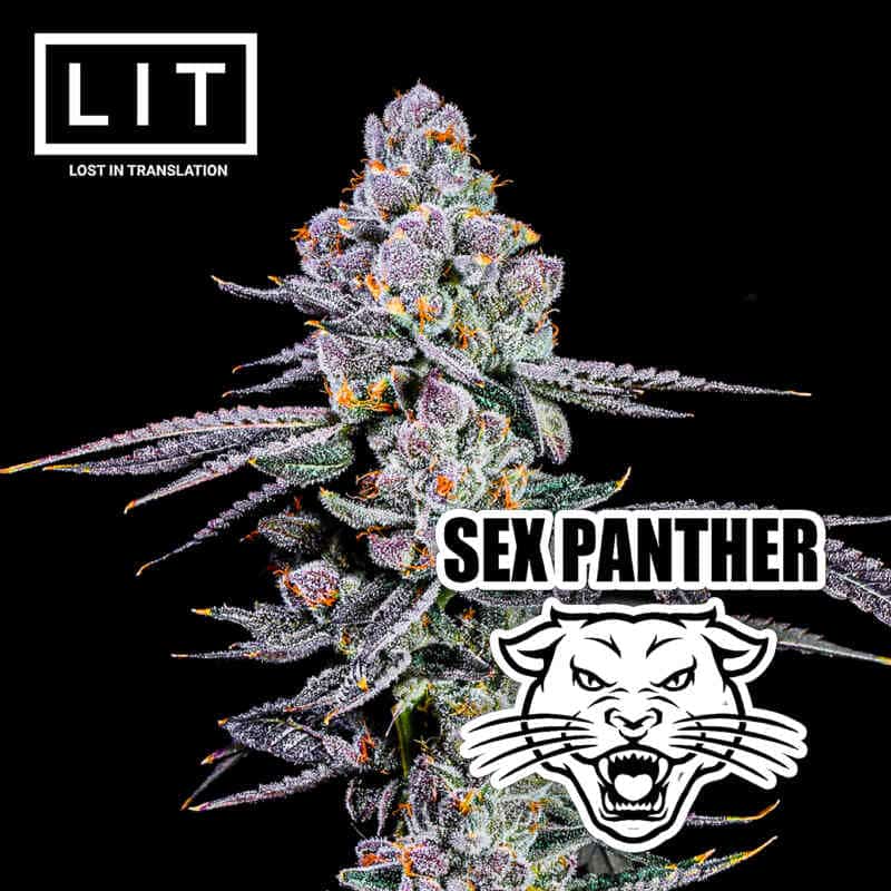 LIT Farms Sex Panther