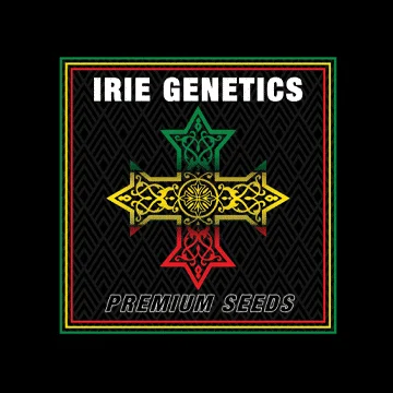 Irie Genetics > Tinfoil Hat cannabis seeds, marijuana seeds, weed seeds