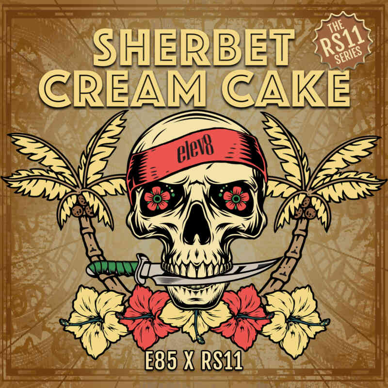 Elev8 Sherbet Cream Cake