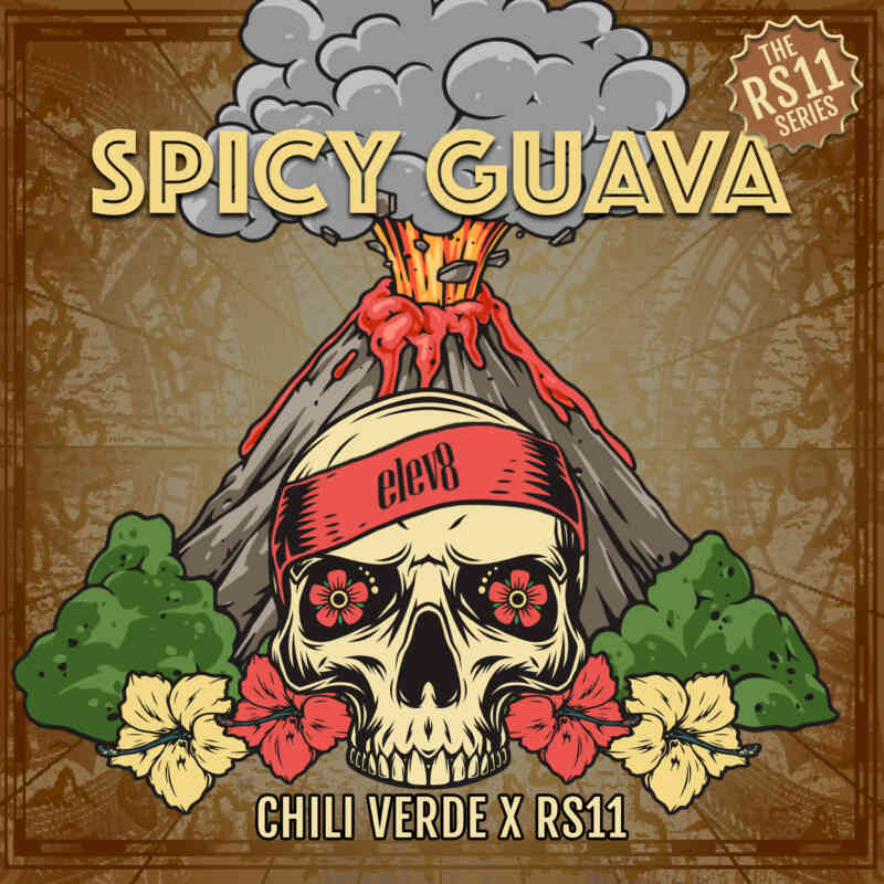 Elev8 Seeds Spicy Guava