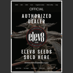 Promotional poster for Elev8 Seeds, an authorized dealer. The text reads, "Elev8 Seeds sold here" with the website URL www.elev8seeds.com included. Various seed strains are listed at the top and bottom. elev8 Posters- 2 Pack available for display.