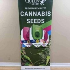 A Royal Queen Seeds Standing Banner advertising their premium feminized cannabis seeds, showcasing various seed varieties and their distinctive packaging.