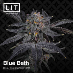 LIT Farms Blue Bath (Blue 16 x Bubble Bath)