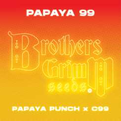 Red and yellow gradient background displaying "Papaya 99 [TESTER] (F)" at the top and "Papaya Punch x C99" at the bottom. The "Brothers Grimm Seeds" logo is prominently featured in the center, making it clear this tester pack is all about Papaya 99 [TESTER] (F).