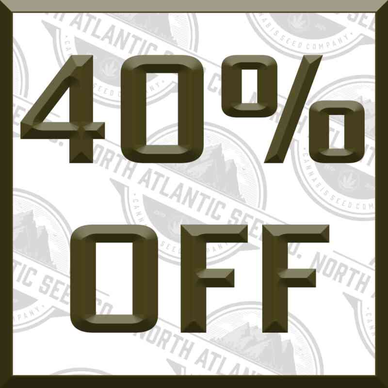 Clearance 40% Off