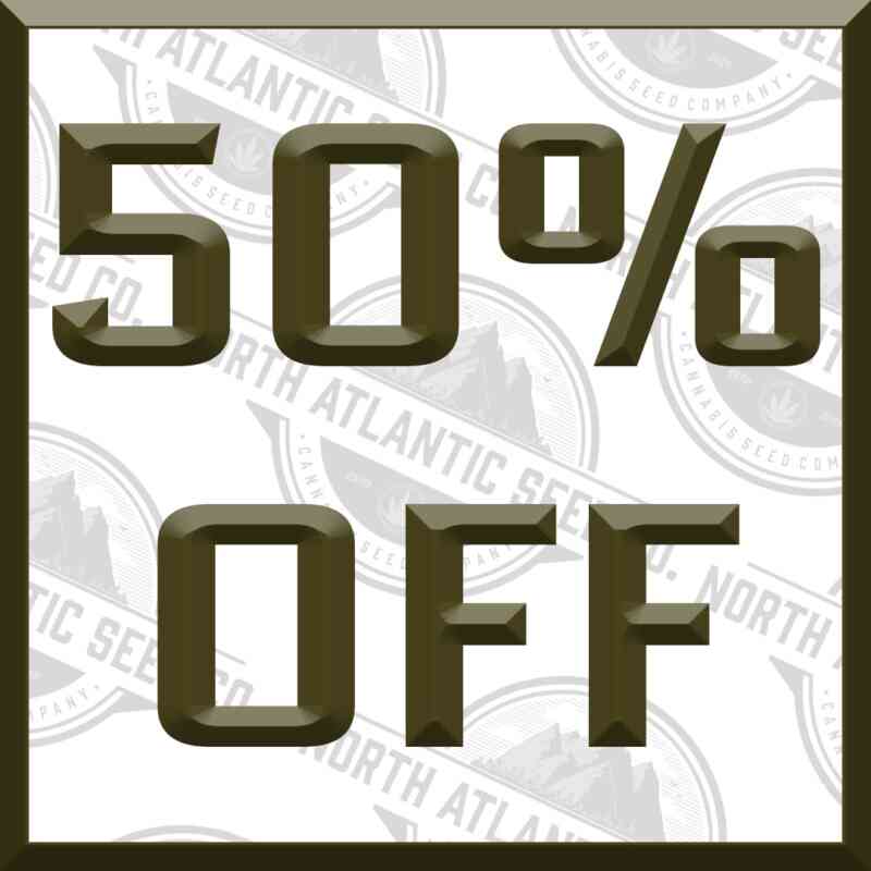 Clearance 50% Off