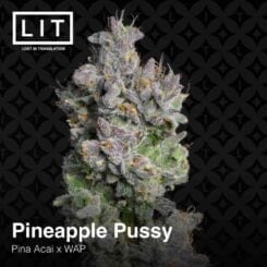 LIT Farms Pineapple Pussy