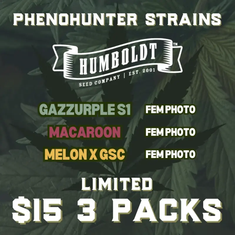 Humboldt Seed Company phenohunter cannabis seeds