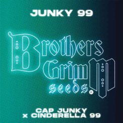 Brother's Grimm Junky 99