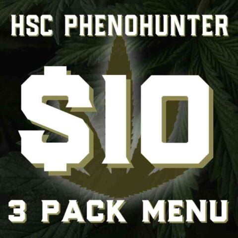 HSC PhenoHunter $10 3 Packs – Cannabis Seeds for Sale | North Atlantic