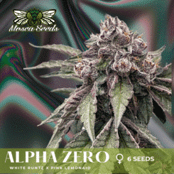 Mosca Seeds Alpha Zero