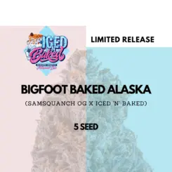 Mephisto Genetics > Bigfoot Baked Alaska