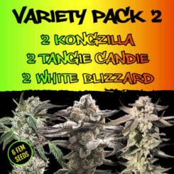 ELV8 Seeds > Variety Pack 2