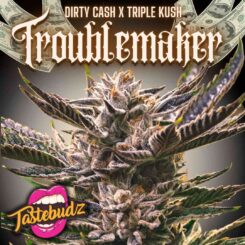 Tastbuds > Troublemaker