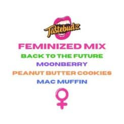 Tastbudz Genetics > Feminized Mix Pack