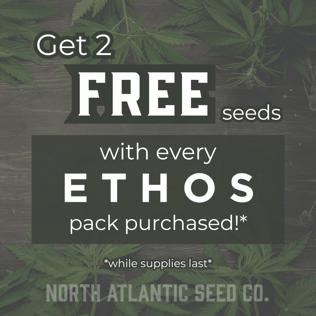 Ethos Genetics cannabis seeds