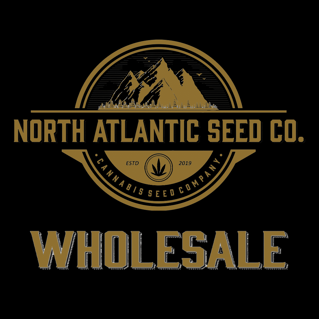 wholesale cannabis seeds US
