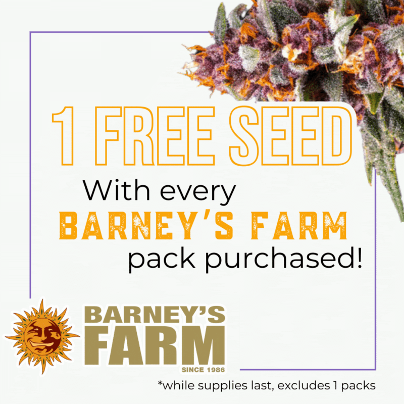 Advertisement stating "1 free seed with every barney's farm pack purchased! *while supplies last, excludes 1 packs"