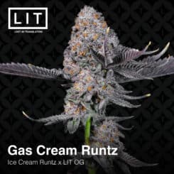 LIT Farms Gas Cream Runtz