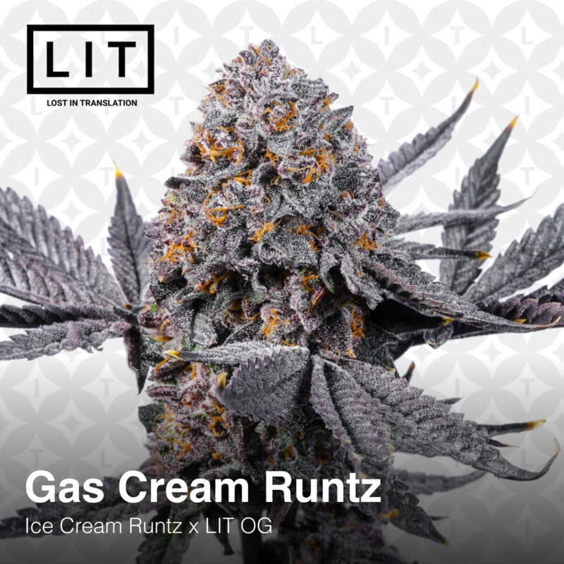 Lit Farms Gas Cream Runtz