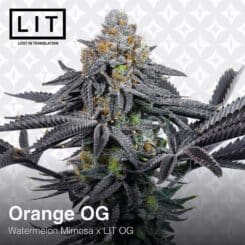 LIT Farms Orange OG