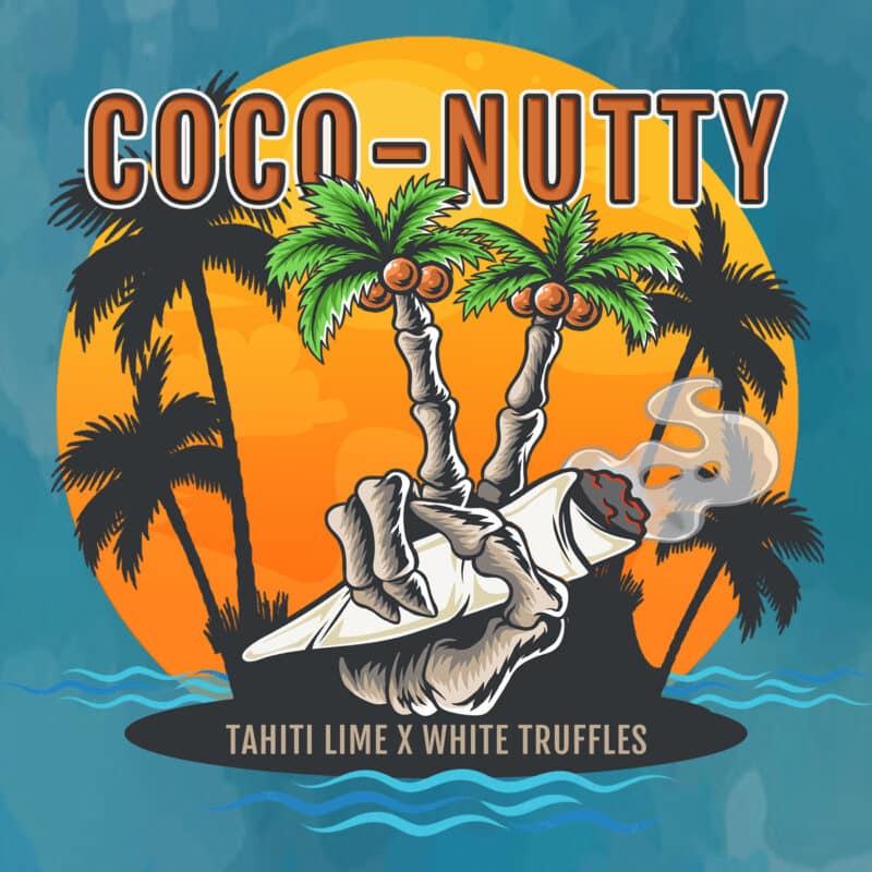 Elev8 Coco-Nutty