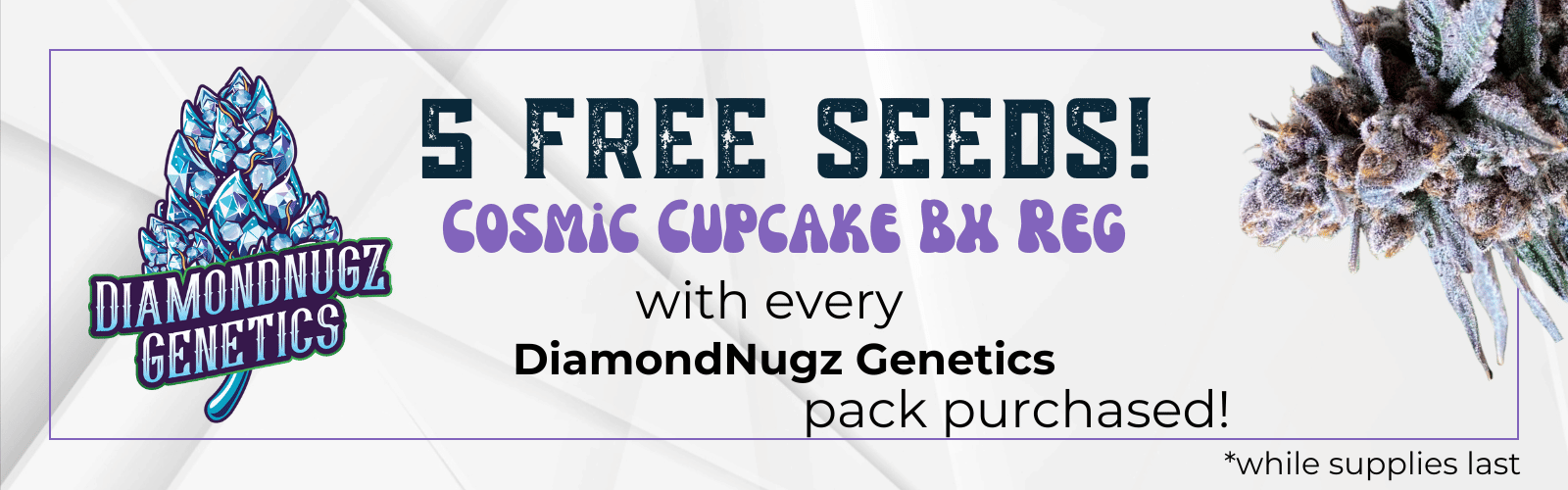 5 free seeds! Cosmic cupcake bx reg with every diamondnugz genetics pack purchased