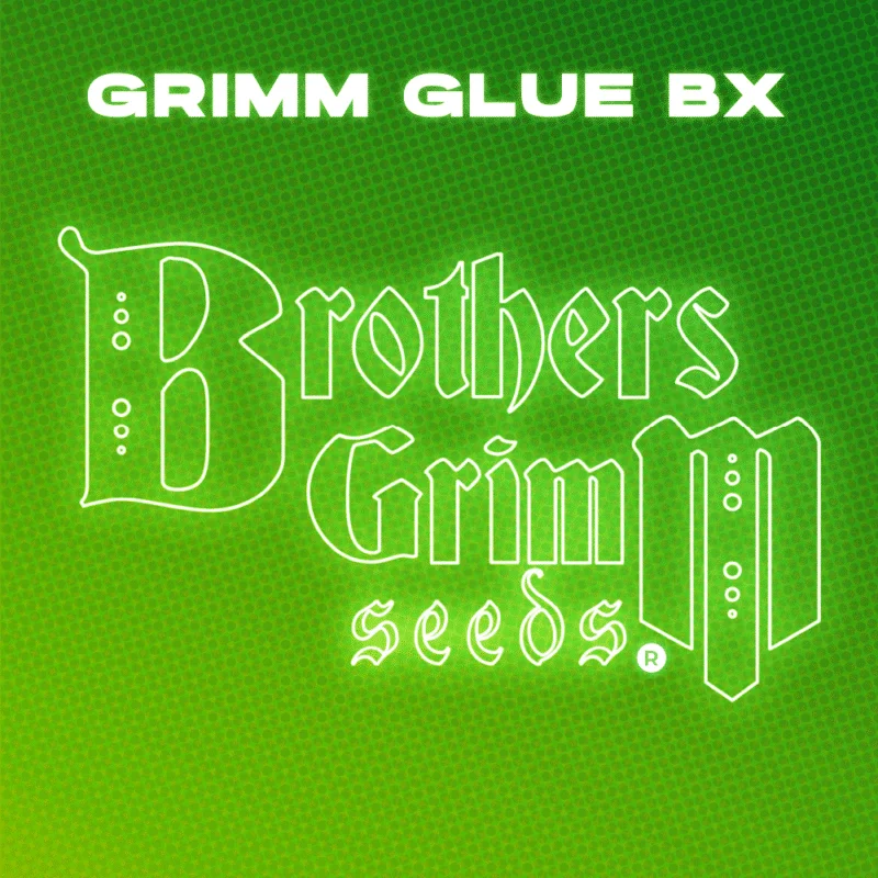 Brother's Grimm > Grim Glue Bx