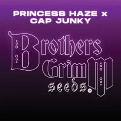 Brother's Grimm > Princess Haze x CAP Junky