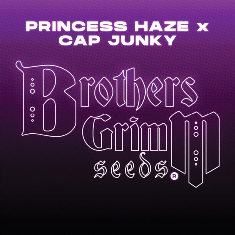 Brother's Grimm > Princess Haze x CAP Junky